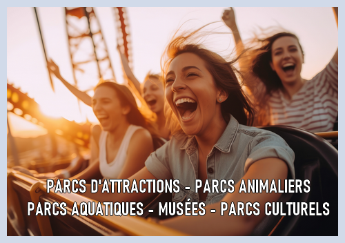 reduction parc attraction