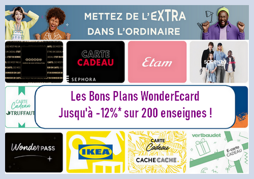 cartes cadeaux cse